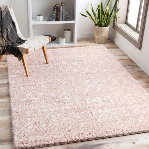 Aliyah shag Rugs