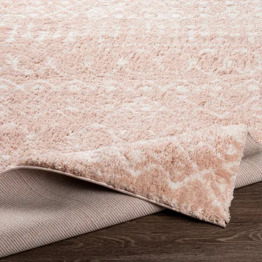 Aliyah shag Rugs