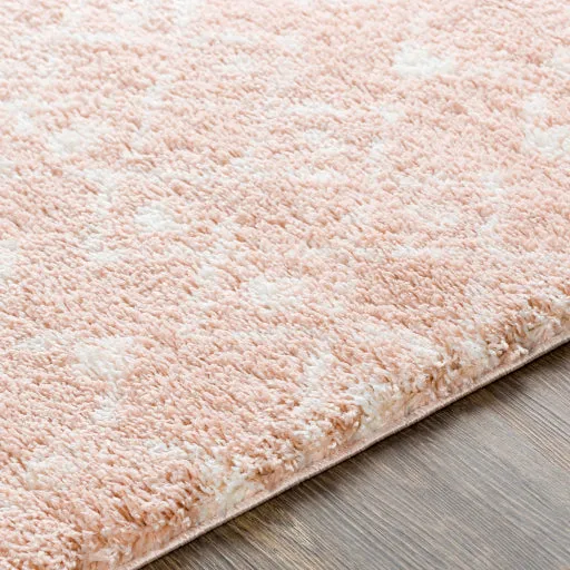 Aliyah shag Rugs