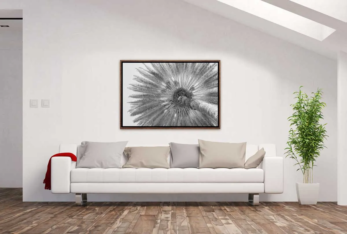 B&W Palm from Below | Canvas Wall Art Print