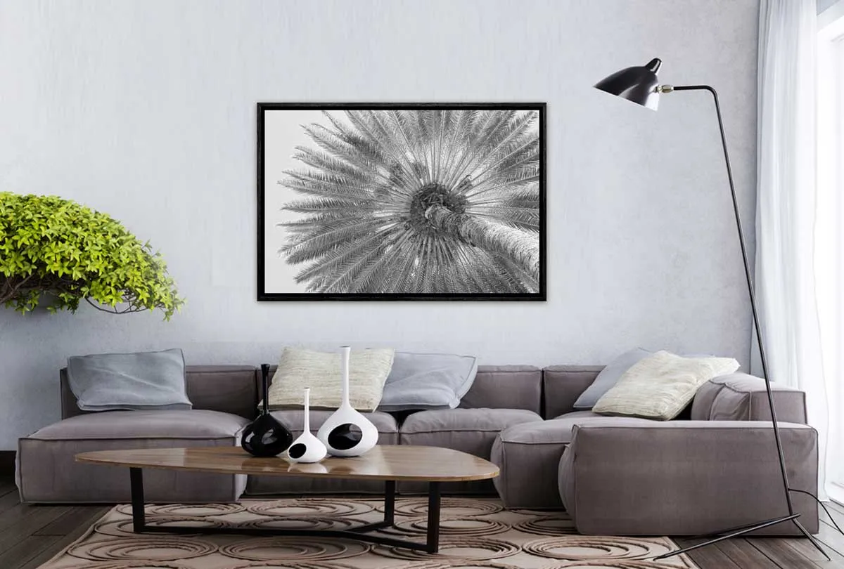B&W Palm from Below | Canvas Wall Art Print
