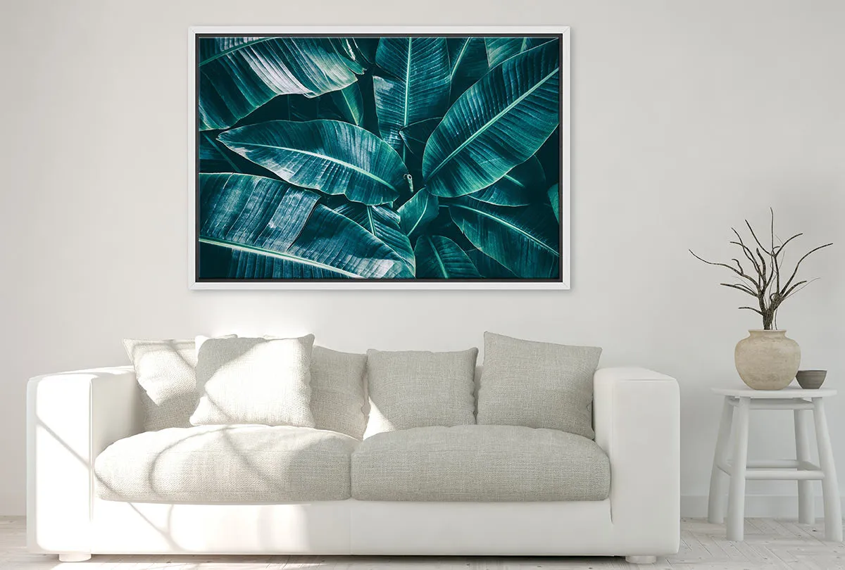 Banana Leaves Blue Tone | Canvas Wall Art Print
