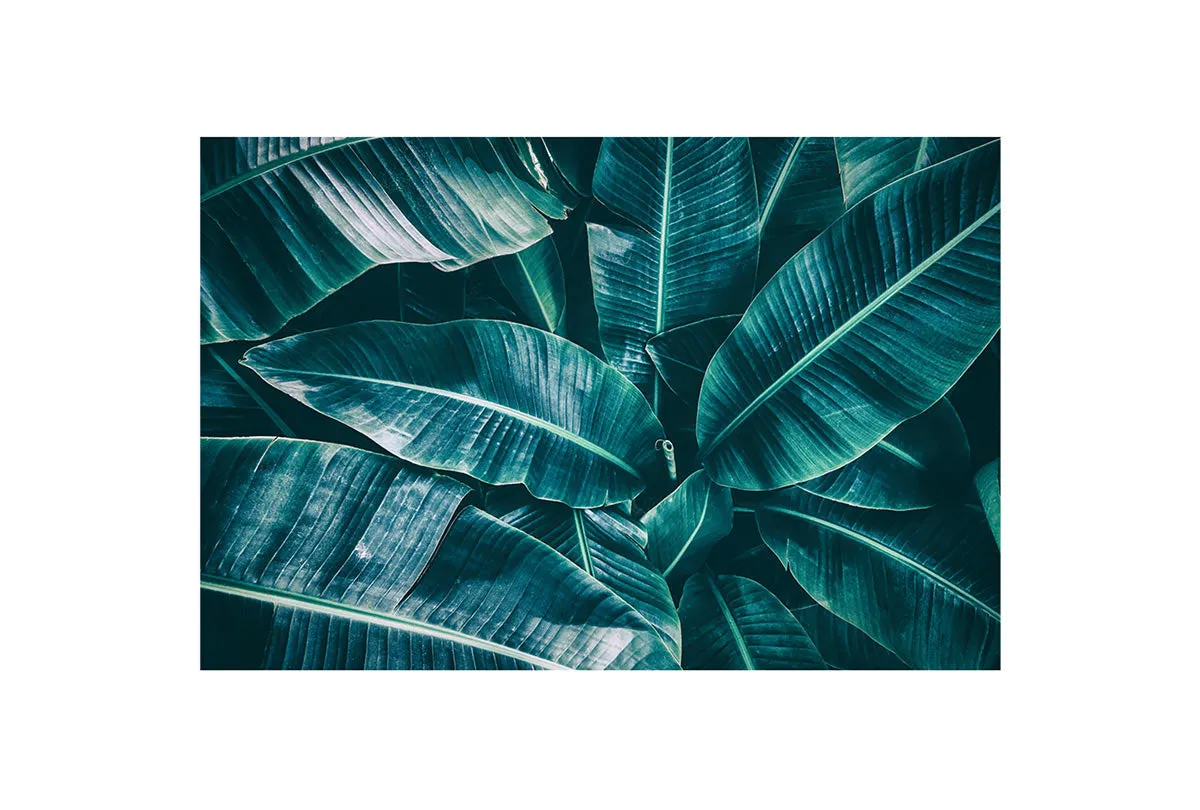 Banana Leaves Blue Tone | Canvas Wall Art Print