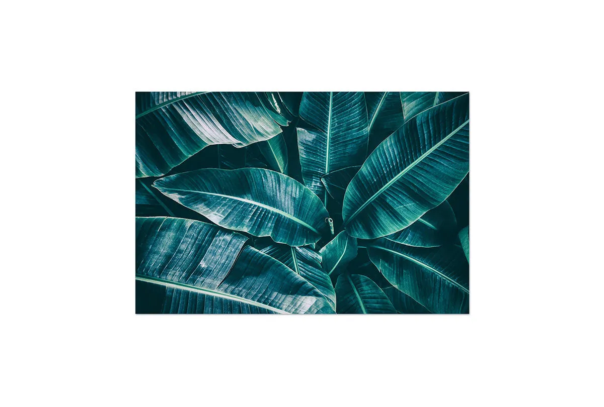 Banana Leaves Blue Tone | Canvas Wall Art Print