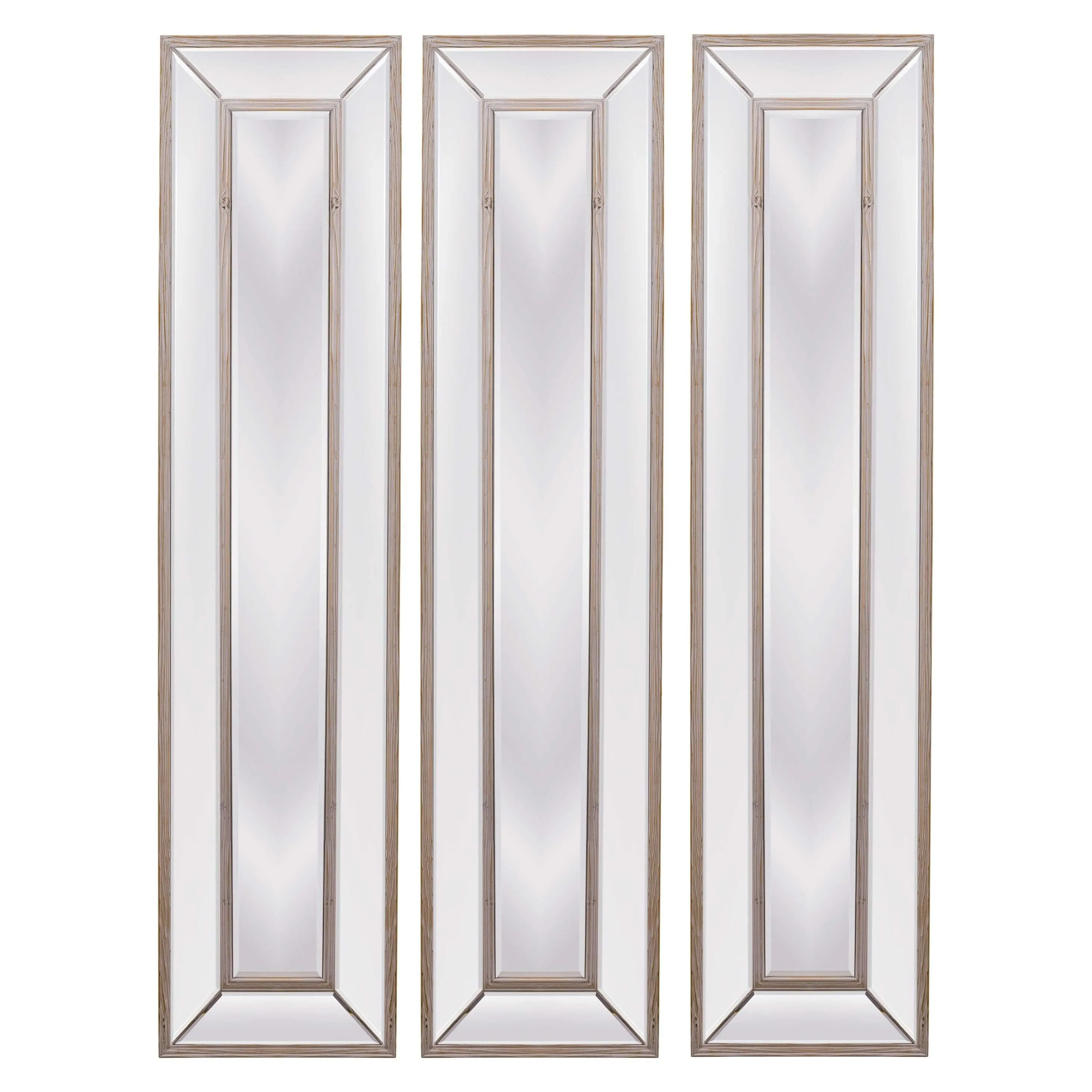 Bassett Mirror Pompano Rustic Floor Mirror 20W x 80H