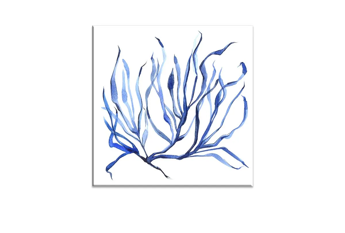 Blue Seaweed 3 | Hamptons Canvas Wall Art Print