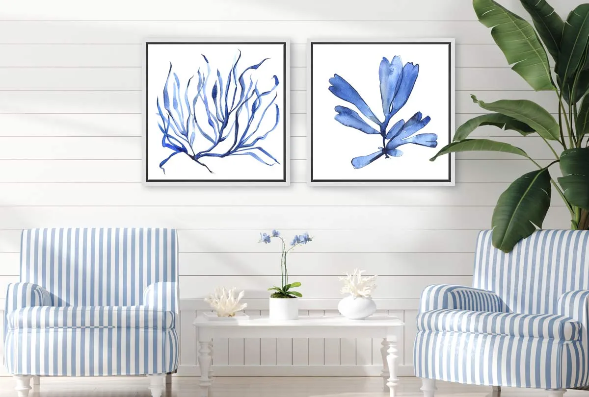 Blue Seaweed 3 | Hamptons Canvas Wall Art Print