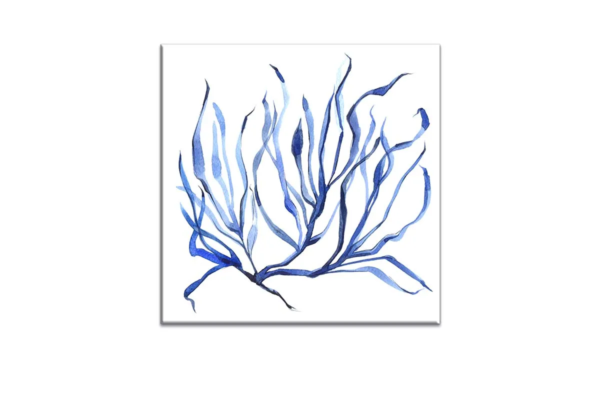 Blue Seaweed 3 | Hamptons Canvas Wall Art Print