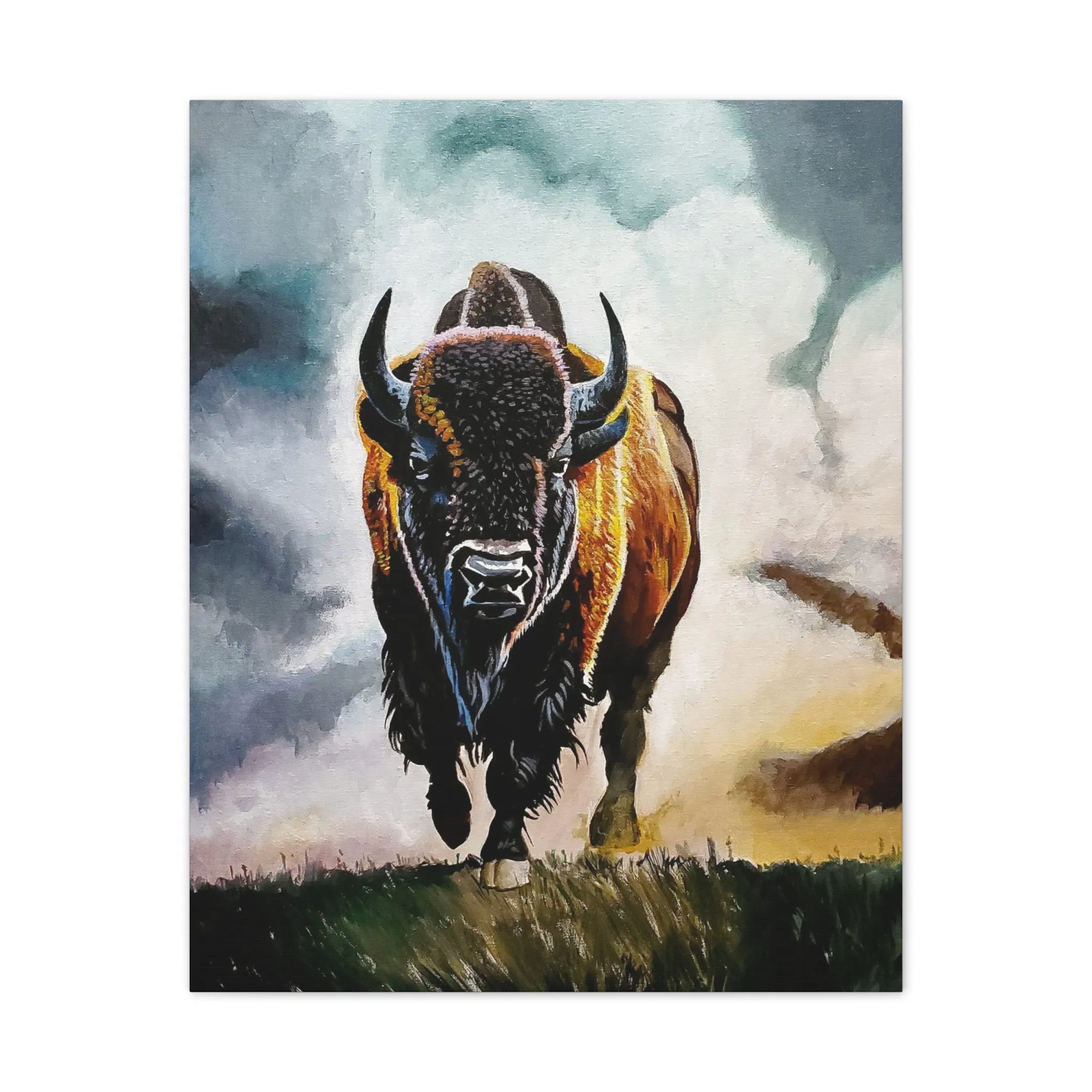 Buffalo stretched canvas, .75"