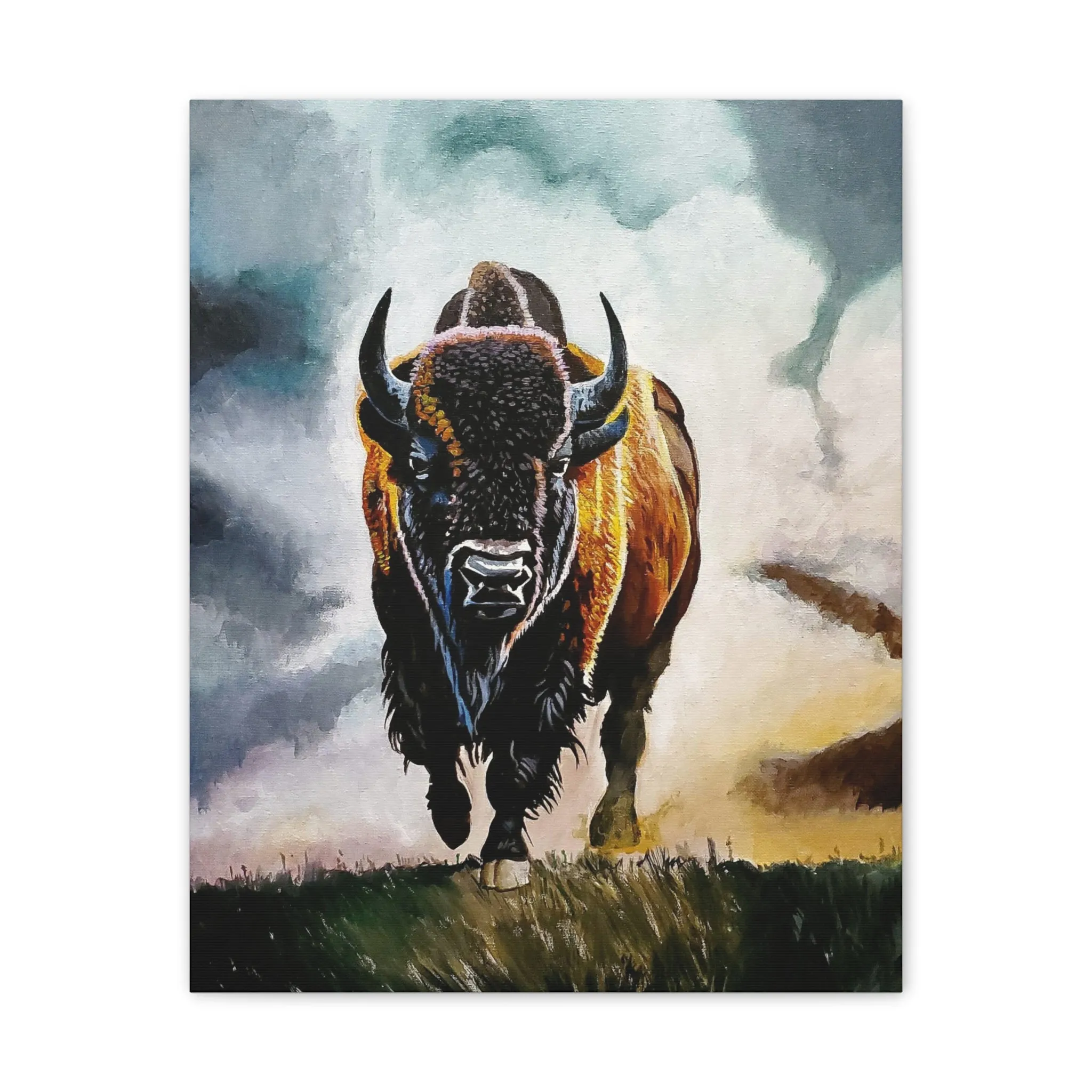 Buffalo stretched canvas, .75"