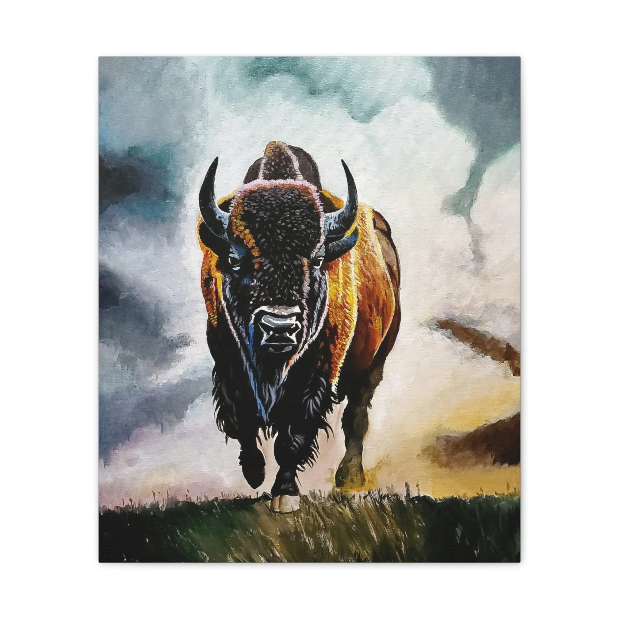 Buffalo stretched canvas, .75"