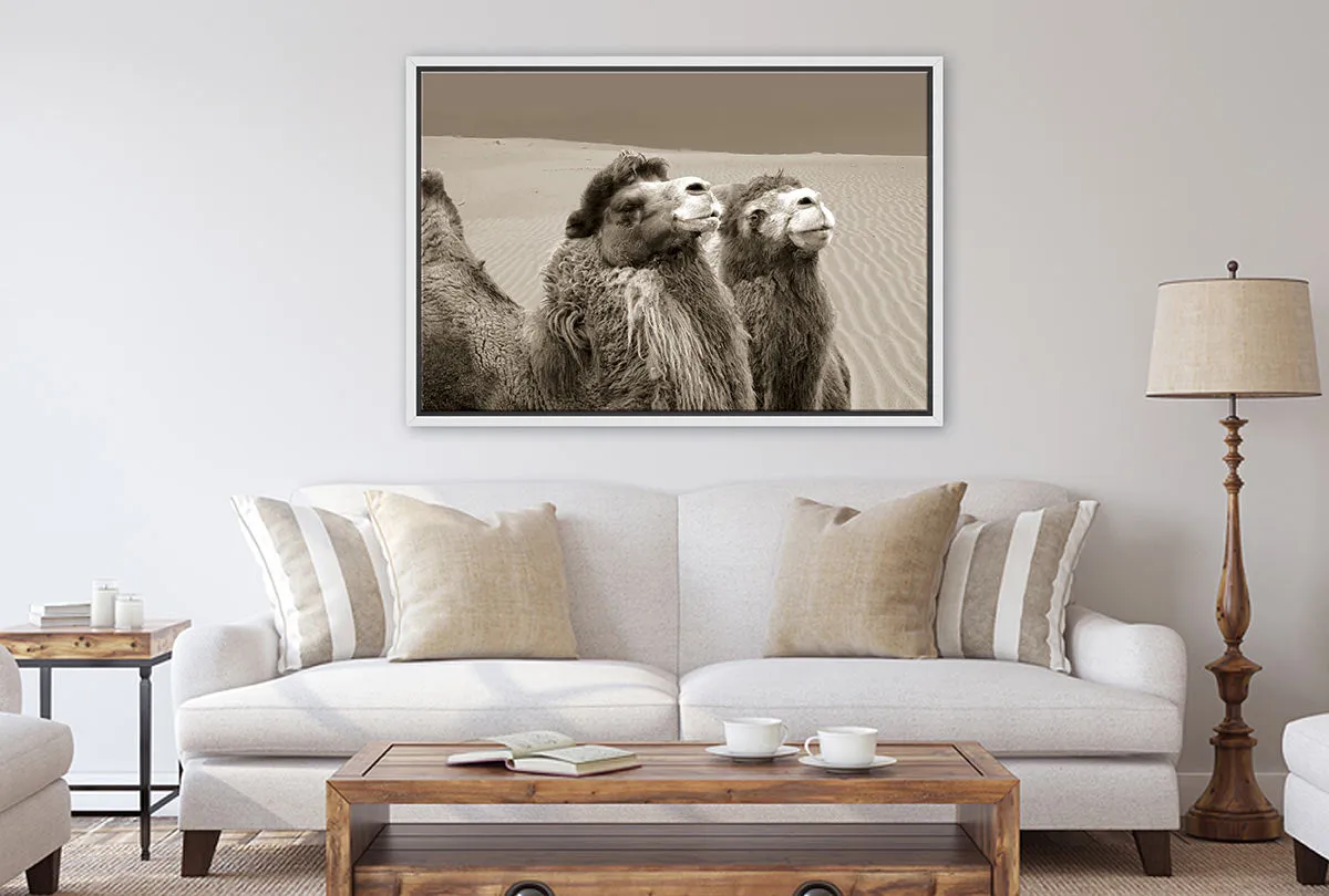 Camels | Canvas Wall Art Print