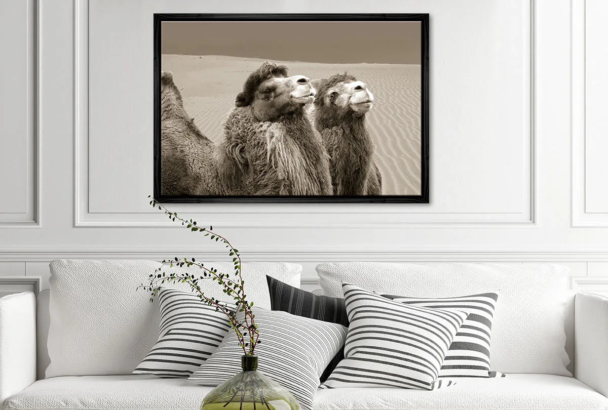 Camels | Canvas Wall Art Print