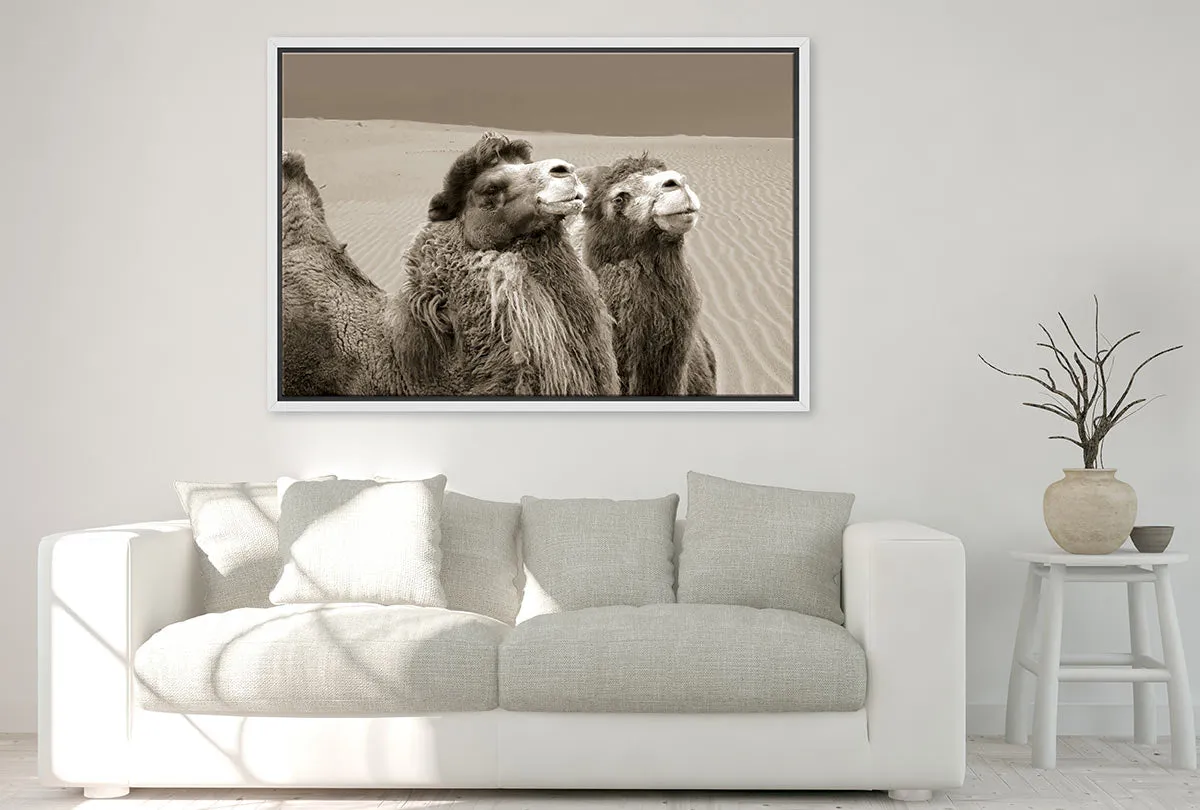 Camels | Canvas Wall Art Print