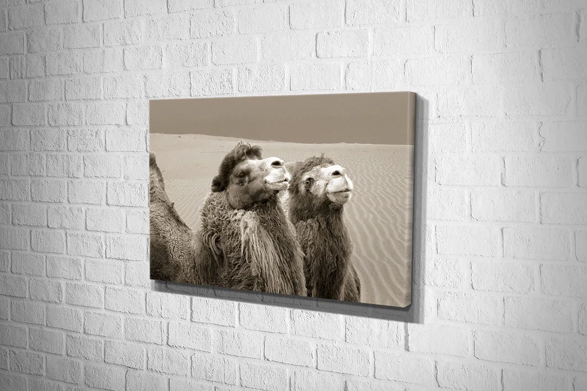 Camels | Canvas Wall Art Print