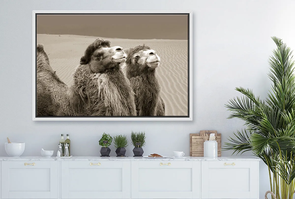 Camels | Canvas Wall Art Print