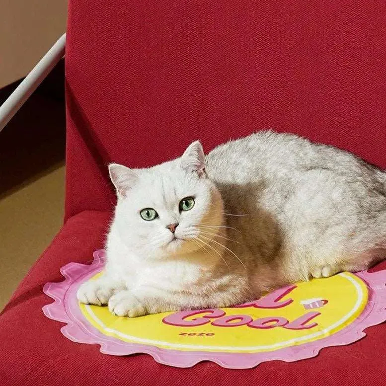 Cooling Mat for Cats – The Ultimate Pet Comfort Solution for Hot Summer Days