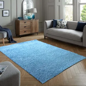 Cosy Plush Soft Shaggy Rug (Teal, 120 x 170cm)