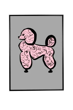 Female poodle
