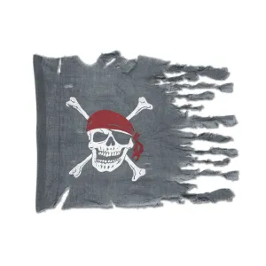 Flag 29in x 40in