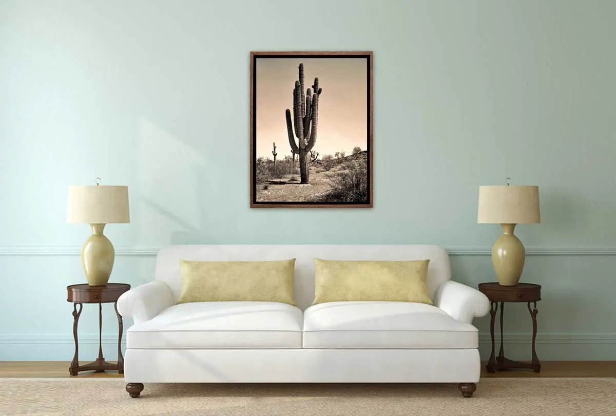 Gigantic Cactus, Arizona, USA | Canvas Wall Art Print