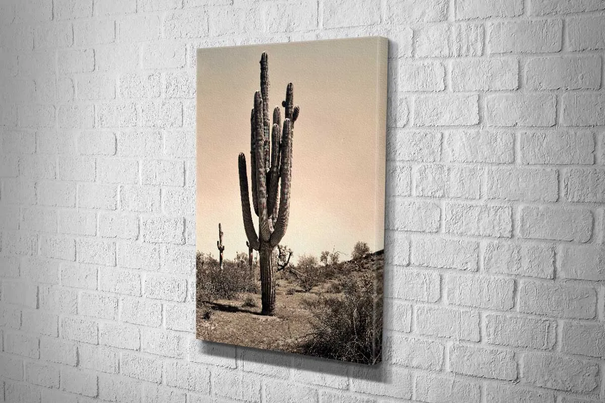 Gigantic Cactus, Arizona, USA | Canvas Wall Art Print
