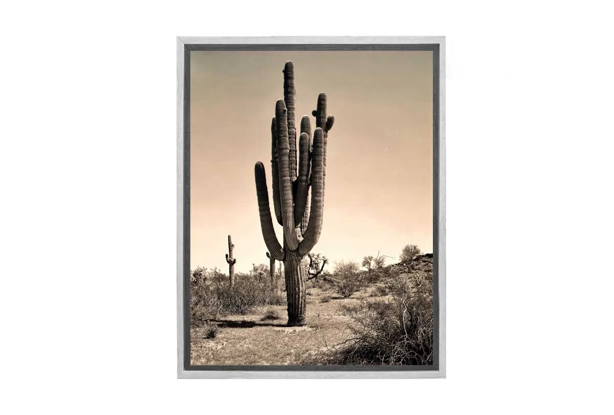Gigantic Cactus, Arizona, USA | Canvas Wall Art Print
