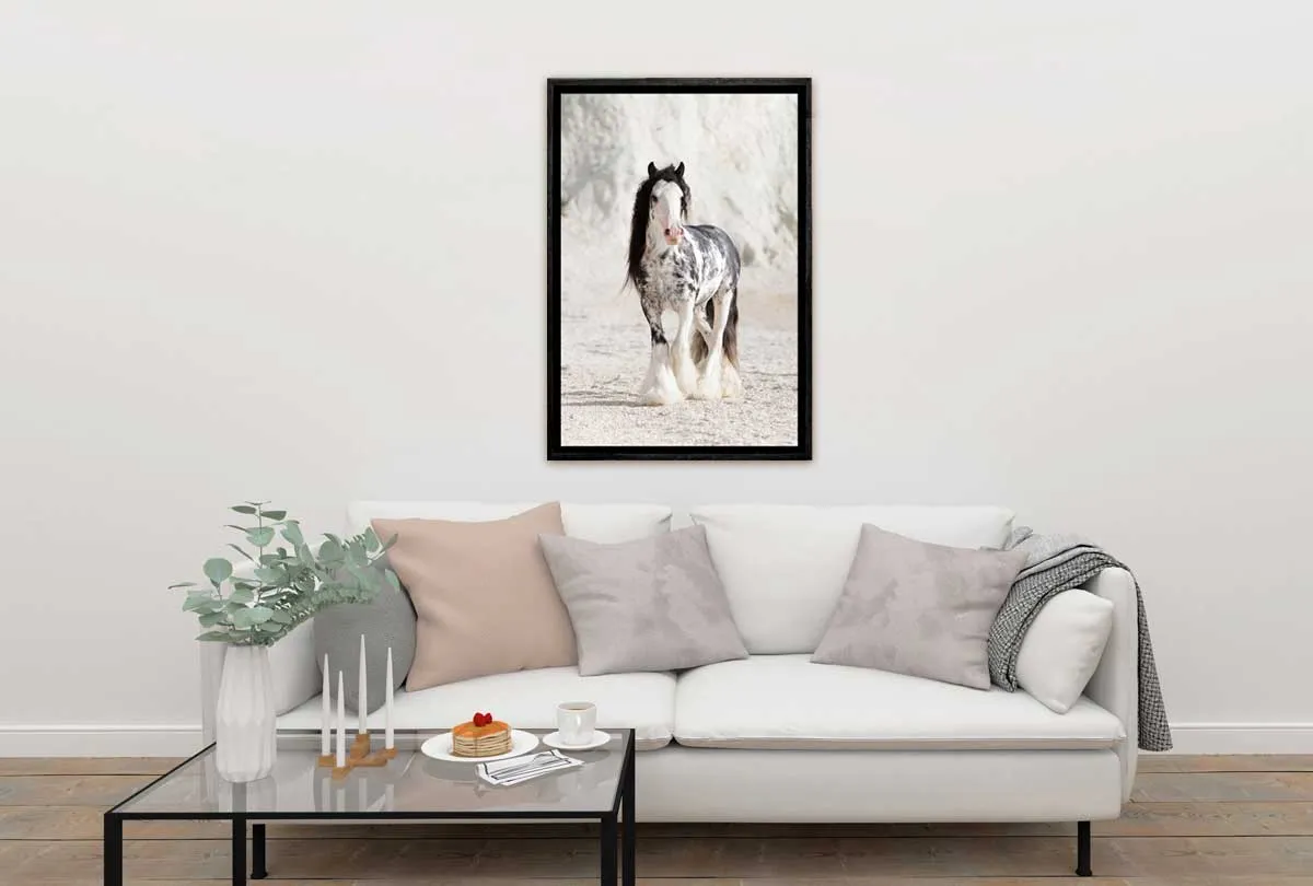 Gypsy Horse | Canvas Wall Art Print