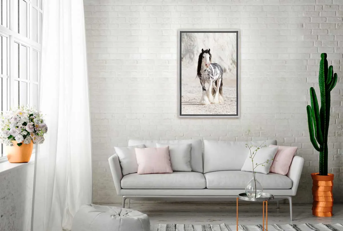 Gypsy Horse | Canvas Wall Art Print