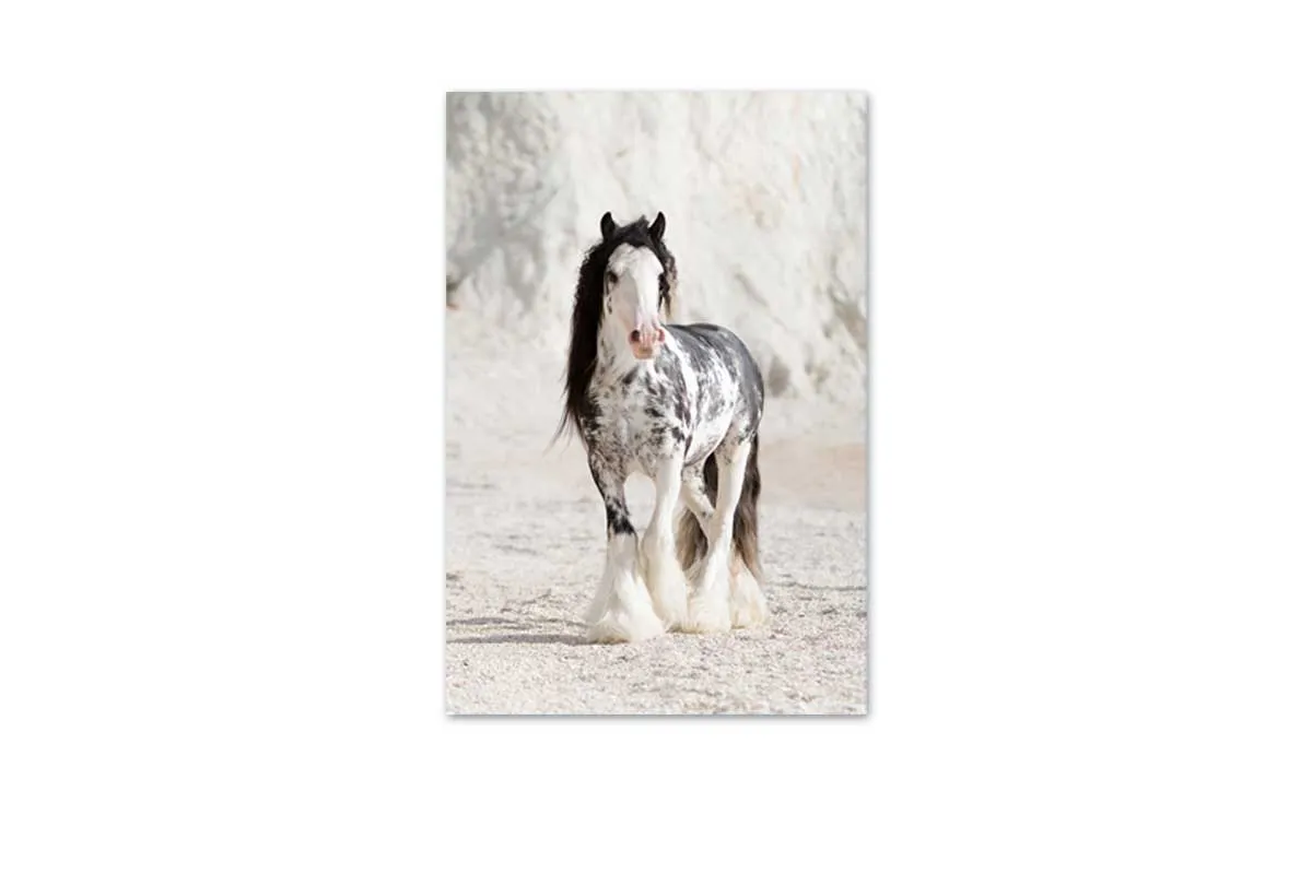 Gypsy Horse | Canvas Wall Art Print