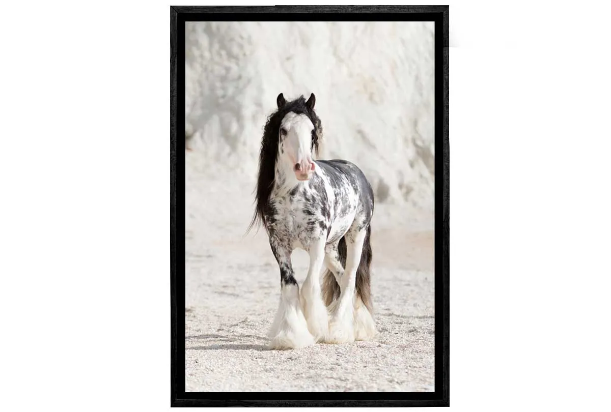 Gypsy Horse | Canvas Wall Art Print