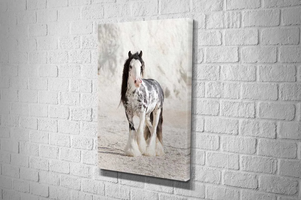 Gypsy Horse | Canvas Wall Art Print