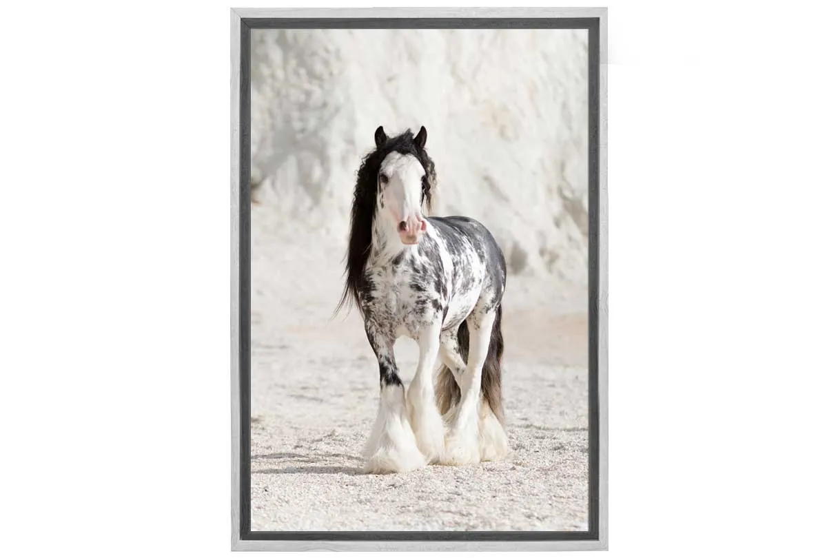 Gypsy Horse | Canvas Wall Art Print