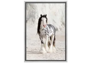 Gypsy Horse | Canvas Wall Art Print
