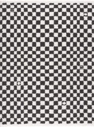 Kieu Black & White Checkered Area Rug