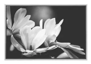 Mono Tone Bloom | Canvas Art Print