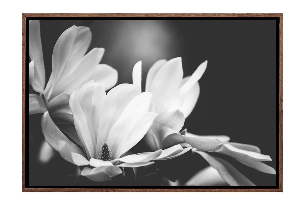 Mono Tone Bloom | Canvas Art Print