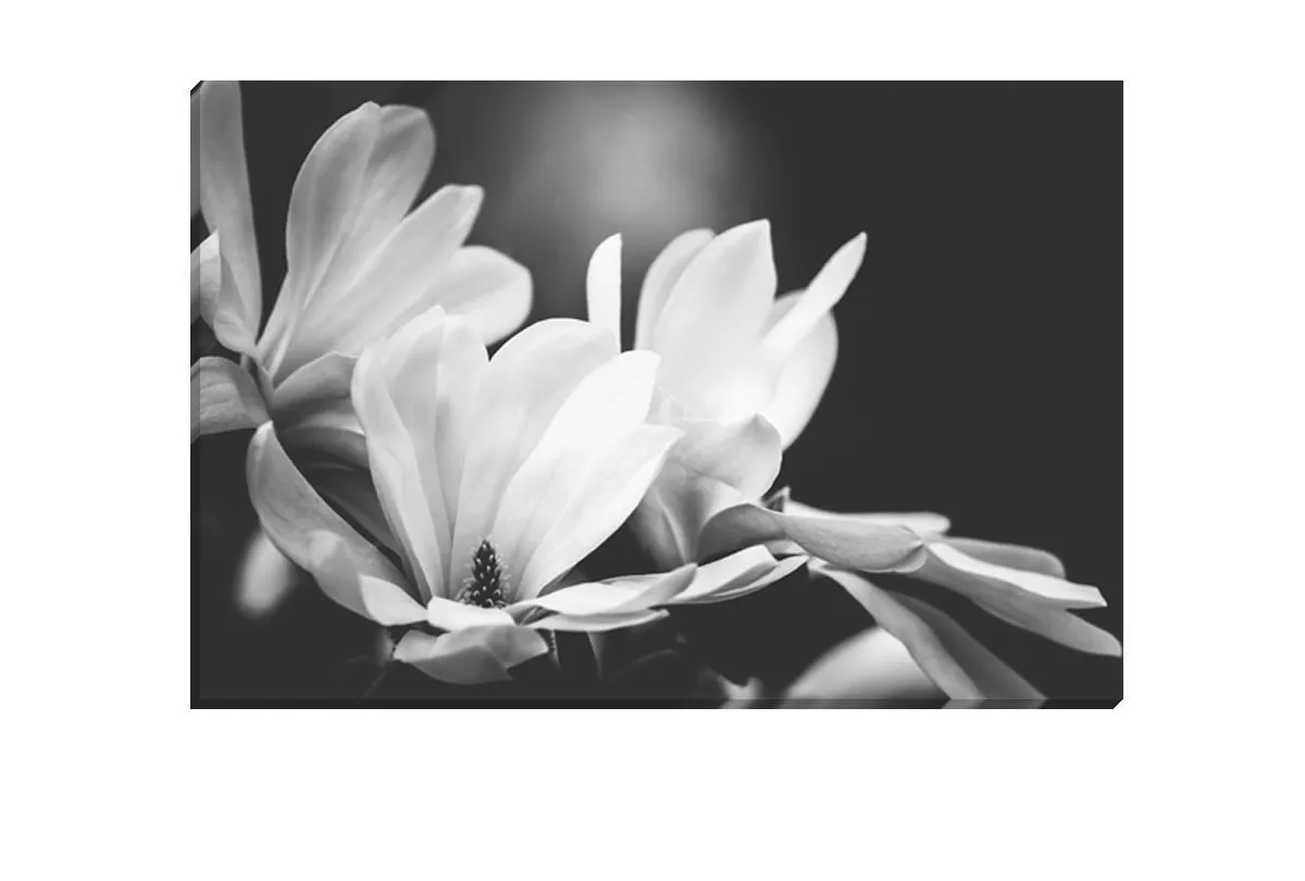 Mono Tone Bloom | Canvas Art Print