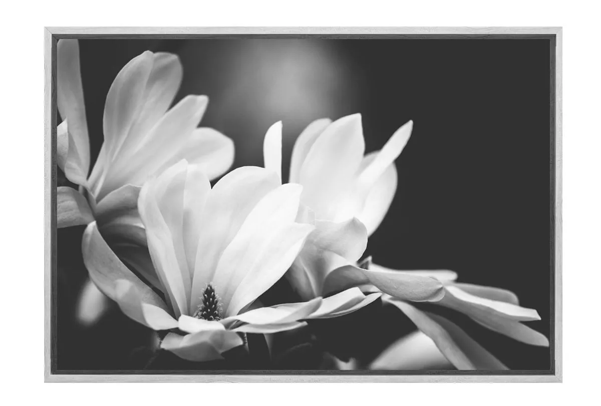 Mono Tone Bloom | Canvas Art Print