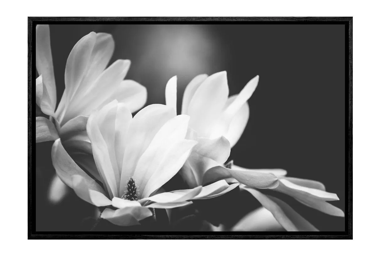 Mono Tone Bloom | Canvas Art Print
