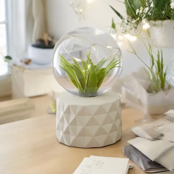 Natural Faux Terrarium Dome Light