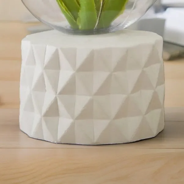 Natural Faux Terrarium Dome Light