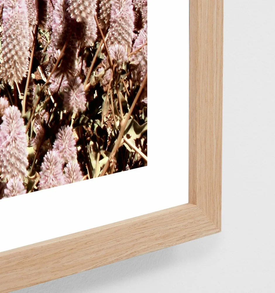 Outback Flowers Print