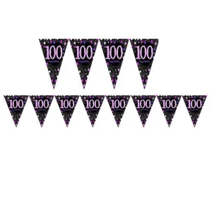 Pink Celebration 100 Prismatic Pennant Banner Plastic Each