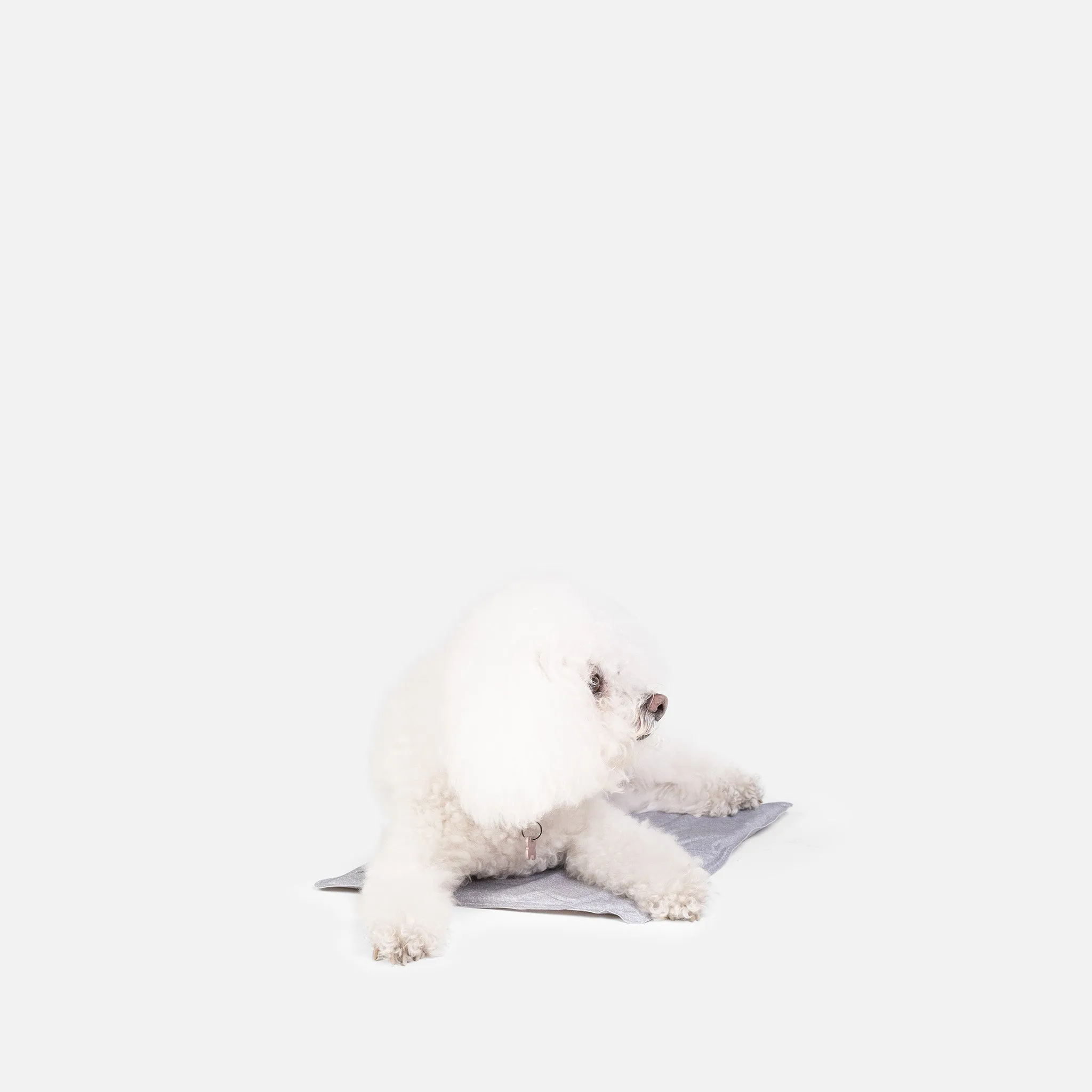 Small ThermoCool Multi-Purpose Dog Mat