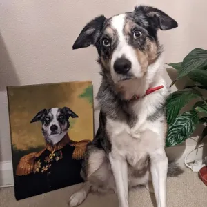 The General Dog Portrait
